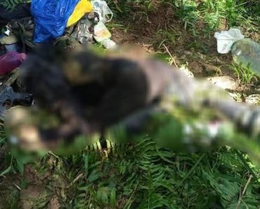NPA Leader Killed in Surigao Encounter